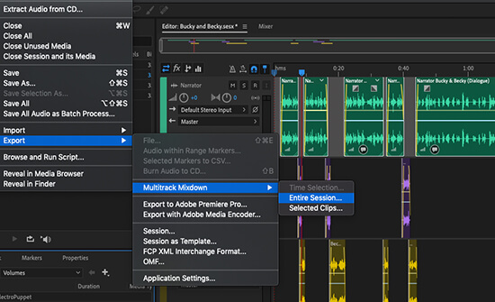 Editing Audio in Adobe Audition