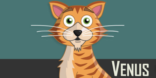Venus - Ginger Cat Puppet for Adobe Character Animator
